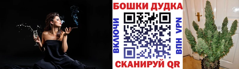Шишки марихуана планчик Порхов